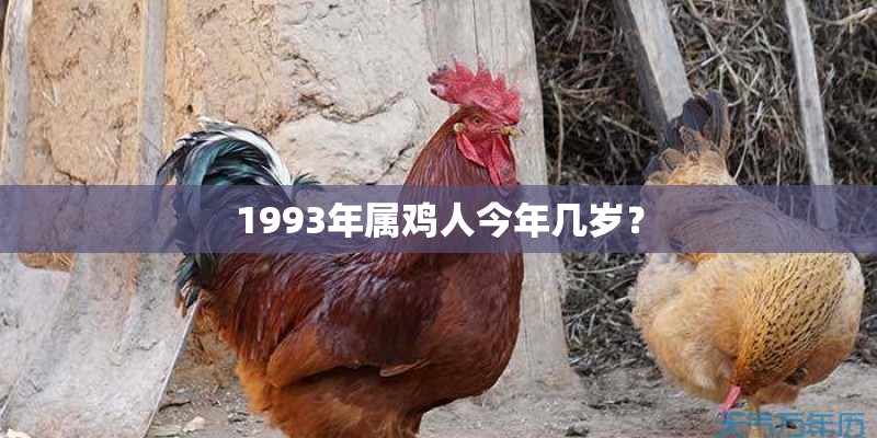 紫薇命盘怎么看？