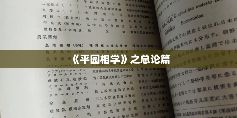 《平园相学》之总论篇
