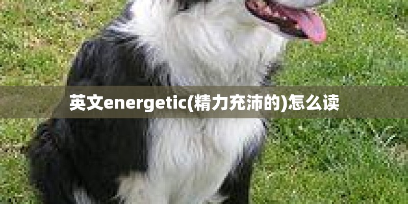 怎么给自己算一卦