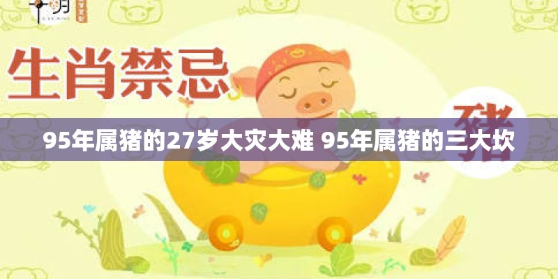 95年属猪的27岁大灾大难 95年属猪的三大坎