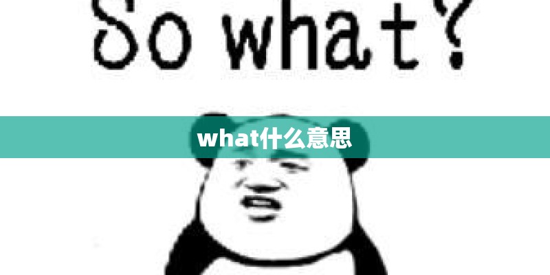 what什么意思